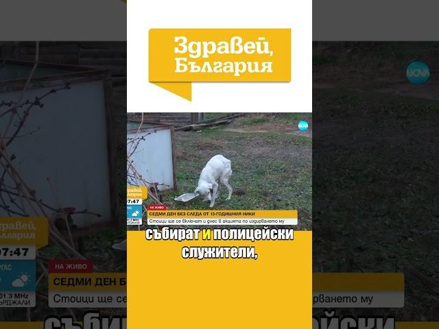 Откриха кучето на изчезналия Николай #zdraveibulgaria #novatv #изчезнал