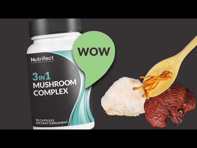 3in1 Mushroom Complex Supplement Highlights