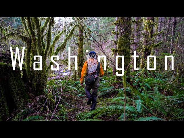 Fly Fishing Washingtons Most Iconic River: Chasing Steelhead and Sea Run Cutthroat Trout