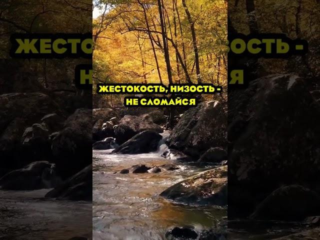 Помни об этомвсегда нужно оставаться человеком