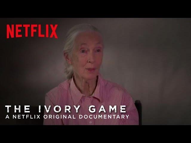 The Ivory Game | Featurette: "Fighting the Trade" | Netflix