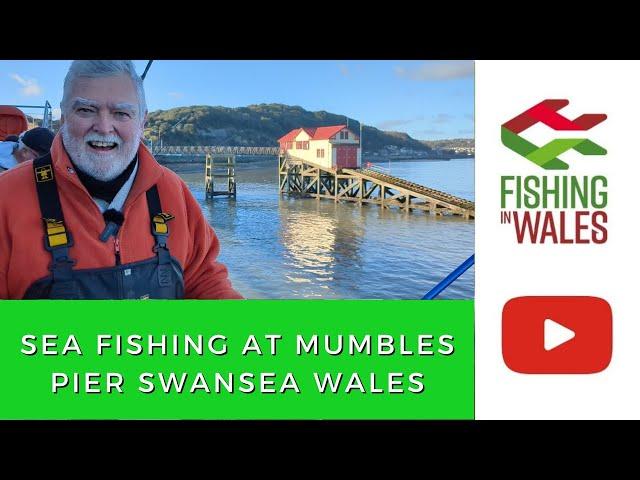 Venue Focus: Sea Fishing at Mumbles Pier, Swansea South Wales