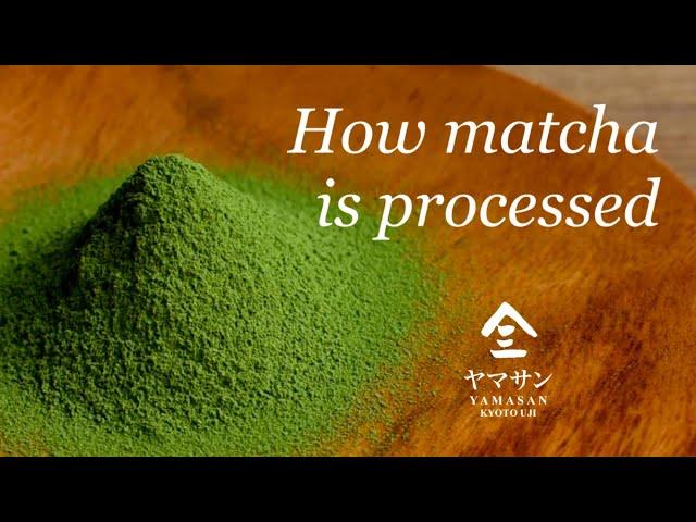 【抹茶】How Matcha is Processed｜Japan｜Kyoto｜Organic｜Matcha｜Greentea｜