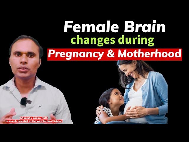 Vid #50. Female Brain Changes During Pregnancy