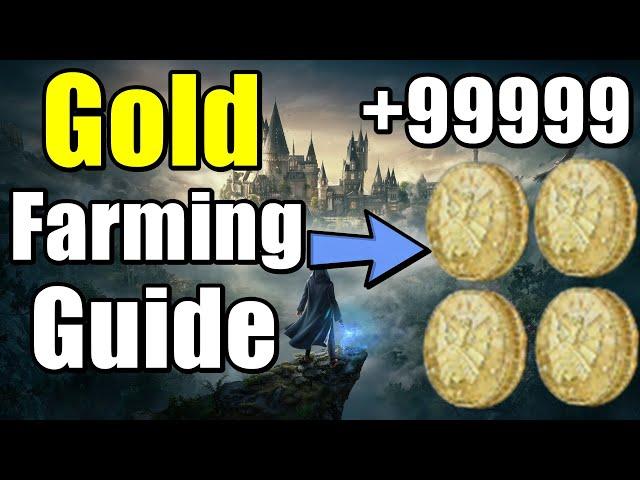 Hogwarts Legacy Gold Farming Guide - Easy Way To Get More Gold