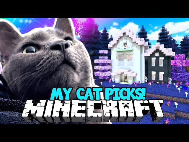  My CAT Picks My Minecraft Build!