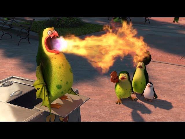 DreamWorks Madagascar | Kind Of The Same Either Way | Penguins of Madagascar Clip