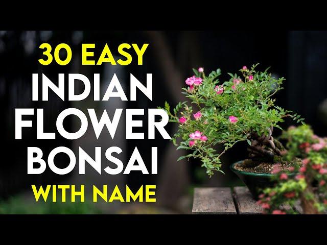 30 Best Flowering Bonsai Trees for Beginners in India | Easy Flowering Plants for Bonsai