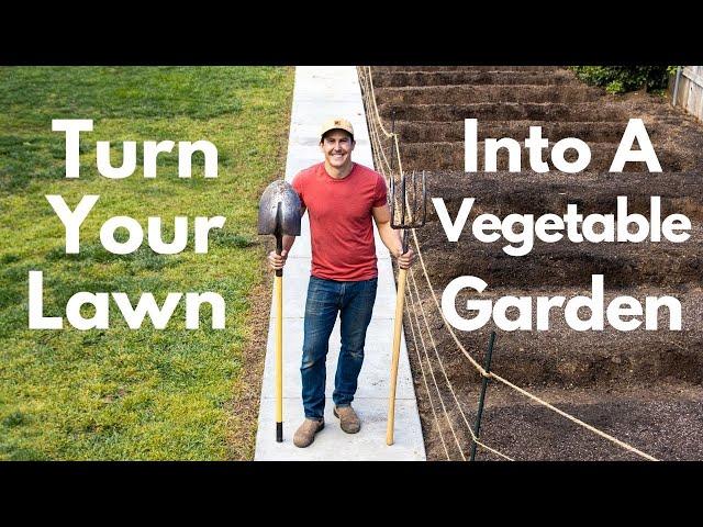 How To Turn Your Lawn Into A Vegetable Garden