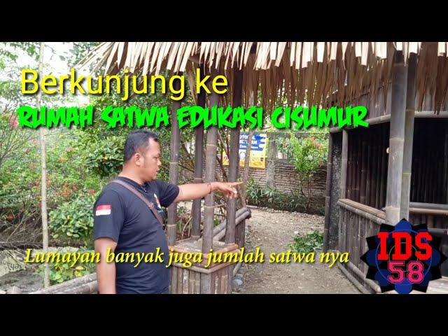 Berkunjung ke Rumah Satwa Edukasi Cisumur, ternyata lumayan banyak juga satwanya.