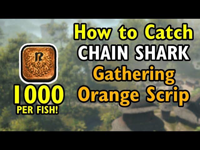 MUST DO! - Chain Shark - 1000 Orange Gathering Scrip fish - FF14 Dawntrail