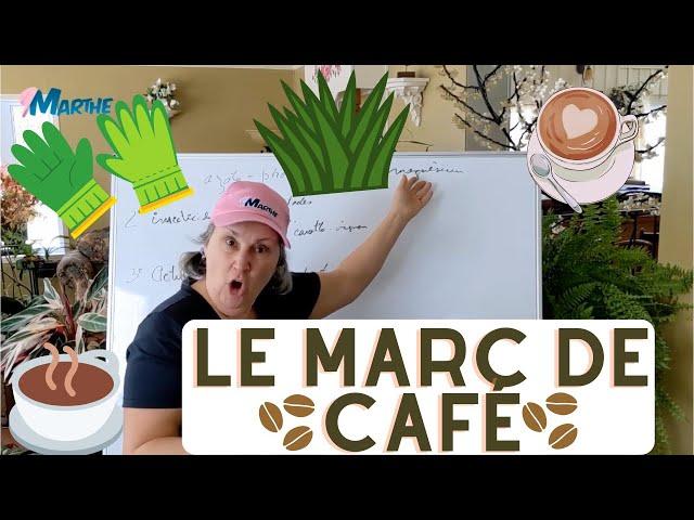 Le marc de café, à quoi ça sert dans un jardin? - capsule horticole