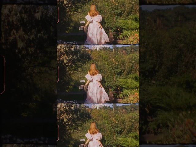 Shot on 8mm film #fashion #8mmfilm #kodakvision3 #kodak