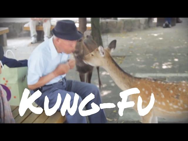 Japanese Man Punches Deer