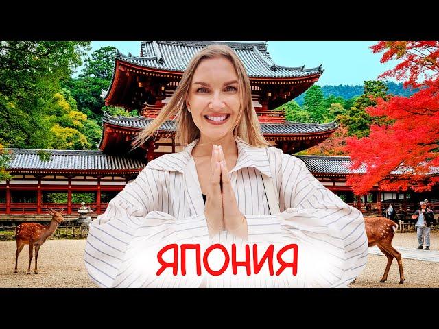 Первый раз в Японии. Мы в шоке. Осака и Нара - вкусно недорого и красиво