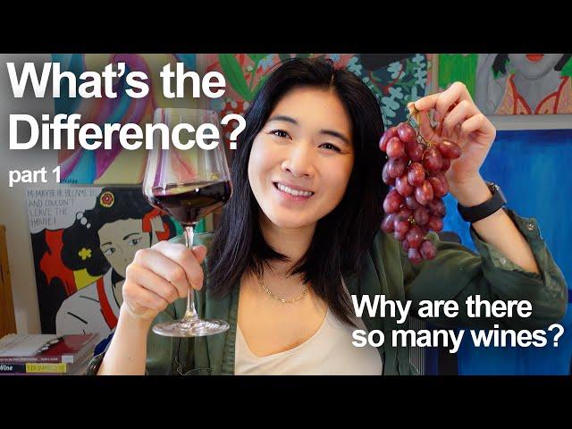 What makes a Wine Different?  - Crash Course on Wine Part 1