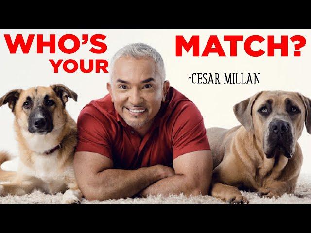 Cesar Millan - Doing THIS will help you pick the right dog, job or romantic partner