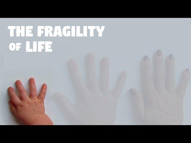 The Fragility of Life - Nothing Lasts Forever