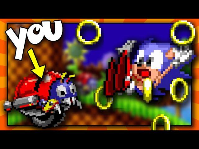 Sonic, but you are a Motobug! - Funny Sonic 1 Rom Hack