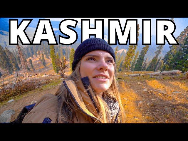 Trekking in Kashmir's AMAZING hidden gem (Doodhpathri - The Valley of Milk)