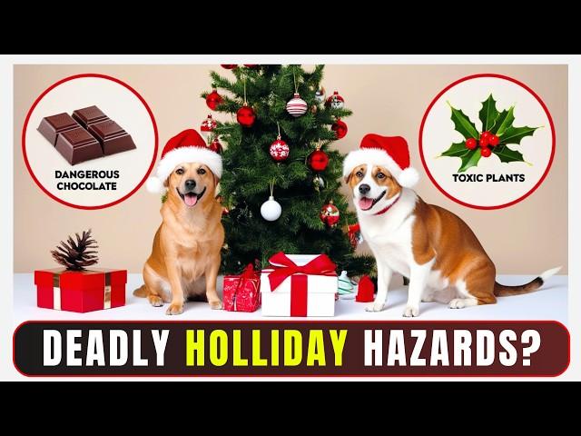 22 Common Holidays DANGERS for Dogs and Cats | Holiday Safety Tips for Dogs and Cats