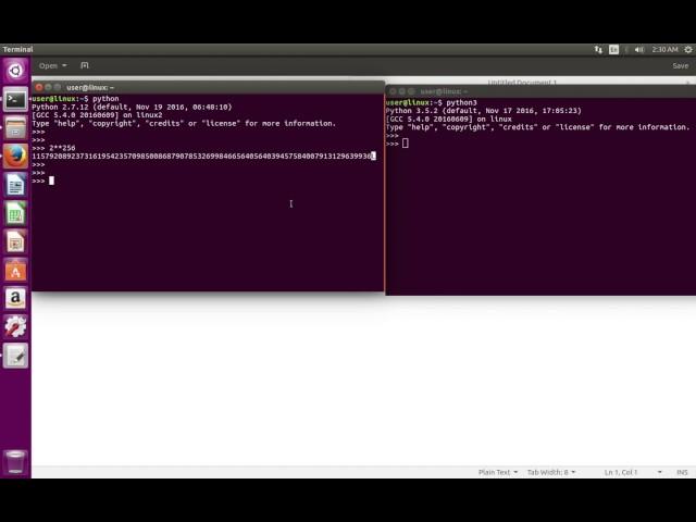 python 3 All integers are implemented as long integer objects