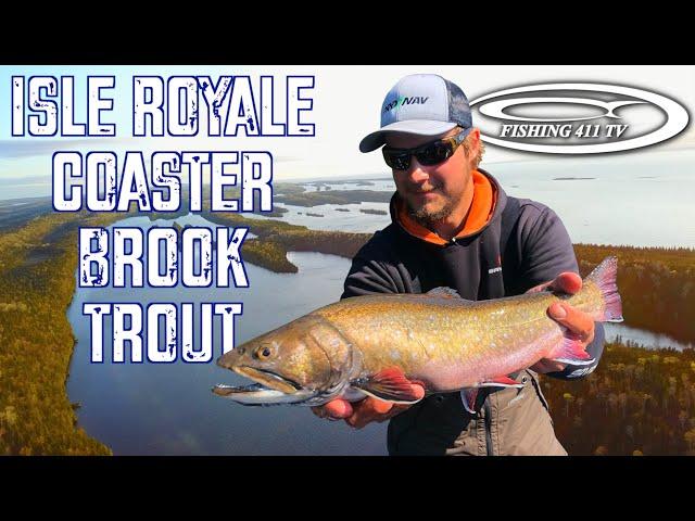 Coaster Brook Trout Info