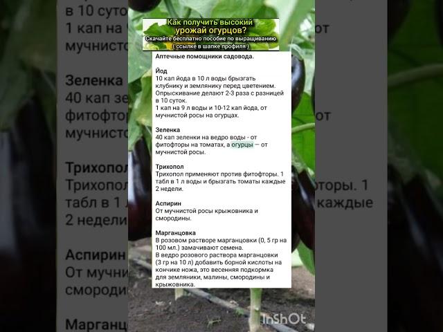 подсказка огородникам