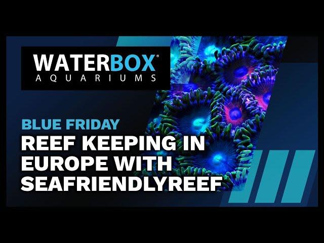 Reef Keeping in Europe with SeaFriendlyReef