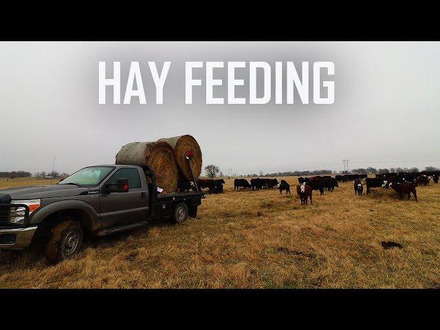 IT IS HAY FEEDING SEASON!