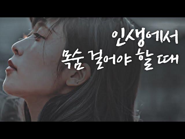 인생에서 목숨 걸어야 하는 순간 [동기부여 영상]
