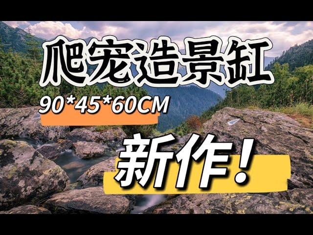 爬寵缸造景，爬寵造景，爬蟲造景，2023年新作