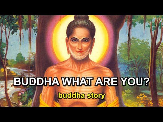 "I AM AWAKE" - Buddha