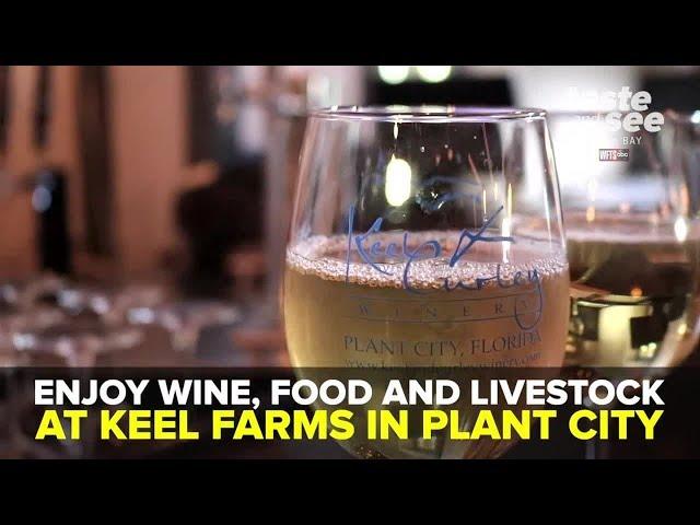 Grab a glass of wine and check out Keel Farms in Plant City