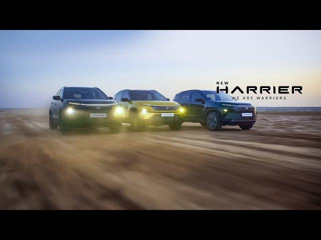 New Harrier | For the Warrior Within