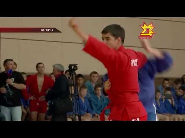 Михаил Игнатьев вошел в Попечительский совет Всероссийской федерации самбо