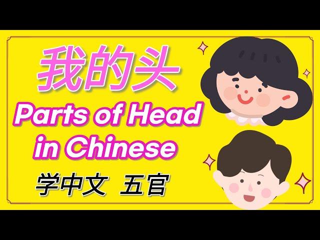 学中文-我的头 | Parts of Head in Mandarin Chinese | 汉语-五官 | Vocabulary & Sentences of My Head in Chinese