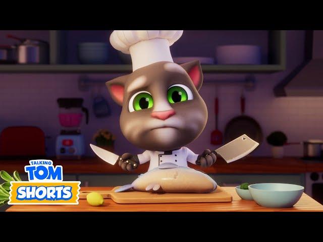 Television Hero  Talking Tom Shorts | LIVE Cartoons for Kids