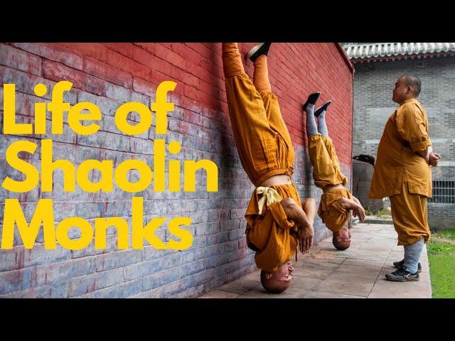 An exemplary Shaolin warrior monk少林功夫人物#yanhao #shaolinkungfuyanhao