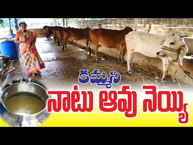 Pure Native Cow Ghee |Sold by Rama Sita| కమ్మని నాటు ఆవు నెయ్యి