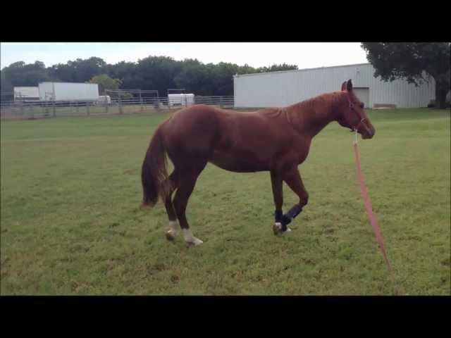 Zippin On Moonshine (OITM x Prettiest Jet Yet)