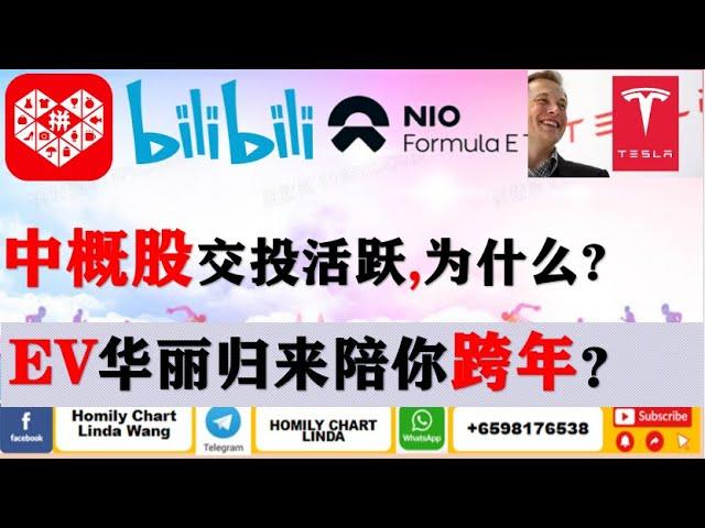 Homily Chart Linda 午盘半小时 12-31|警惕回调危险|EV华丽归来陪你跨年?|中概股交投活跃,怎么操作?|BILI|PDD|CAN|VLDR|NNDM|NANO|SMIC