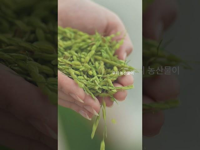 [기업 홍보영상 영상] 시드앤솔 #영상제작 #기업홍보영상