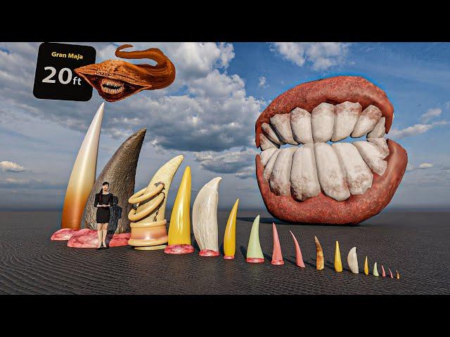 Monster Teeth size comparison #animation #animals