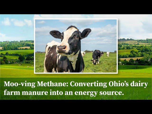 Moo-ving Methane: Converting Ohio’s dairy farm manure into an energy source