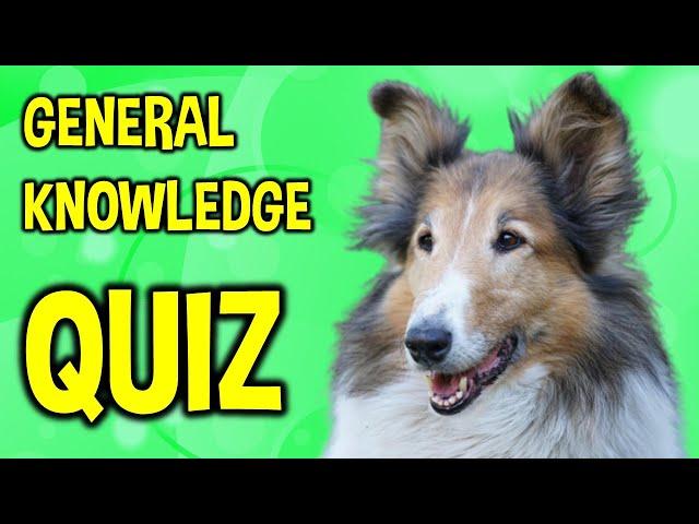 Trivia Titans: General Knowledge Battle Royale