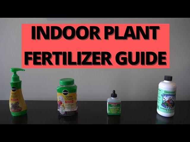 Best fertilizer for indoor plants