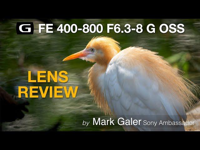 Sony FE 400-800 G OSS Lens Review