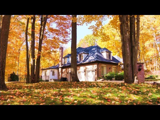 BEAUTIFUL Autumn Foliage and Countryside Cozy Homes near Toronto in  Forest full of Gold Colors 4K