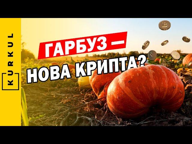 Гарбузи — золото дурнів чи вигідний бізнес? Де купити насіння? / Куркуль